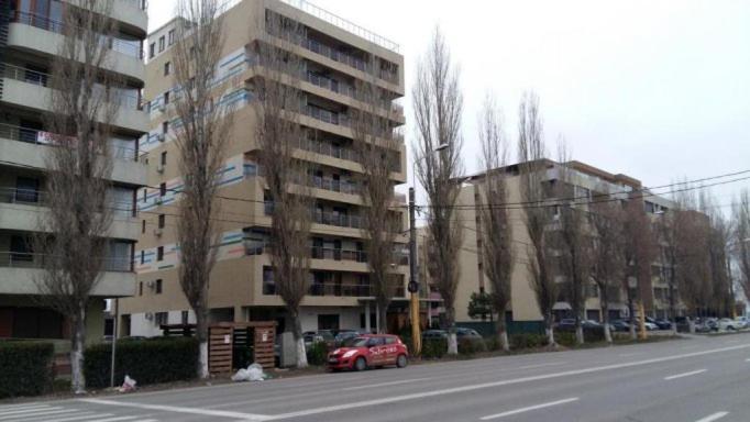 Wild Africa Apartament Apartment Mamaia